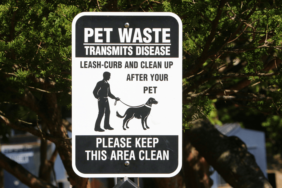 Why Regular Dog Waste Removal is Essential for Your Yard!